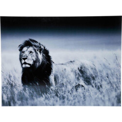 Kare Design Kare wandfoto lion king standing 160x120cm