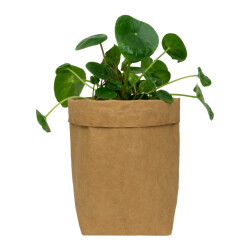 QUVIO Plantenzak uitwasbaar 10x10x20cm -