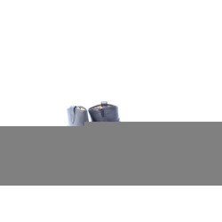 DWRS Label Lyon studs enkellaars