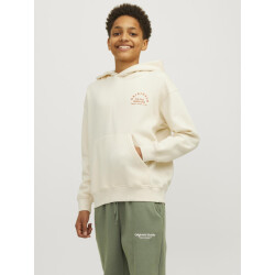 Jack & Jones Jorbrooklyn back sweat hood jnr
