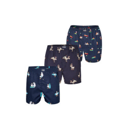 Happy Shorts X heren wijde boxershort met binnenbroek surfende zeemeeuw/ezel/luiaard print 3-pack