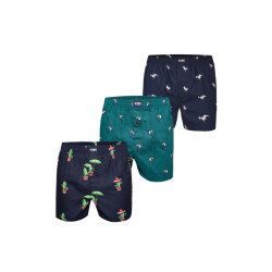 Happy Shorts X heren wijde boxershort met binnenbroek cactus/tucan groen/zeemeeuw print 3-pack