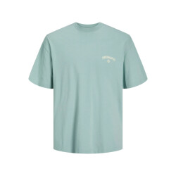 Jack & Jones Heren t-shirt jorsantorini ronde hals mintgroen