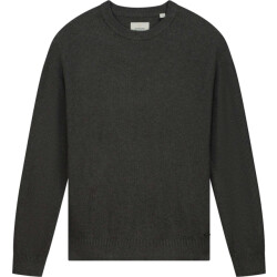 Dstrezzed Ds pedro raglan