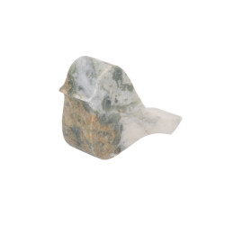Present Time beeld vogel small himalayan green