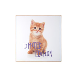 Present Time wall art kitten limited edition -