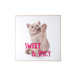 Present Time wall art kitten sweet & spicy -