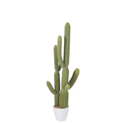 J-Line cactus+pot plastic /melamine wit large 36x20x115cm