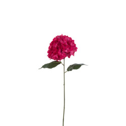 J-Line hydrangea sproeier kunststof 74x18x13cm