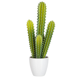 J-Line cactus 5delig 22x16x52.5cm