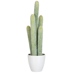 J-Line cactus 5delig licht 23x16x52.5cm
