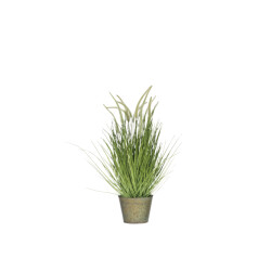 J-Line grassen+staarten in pot metaal plastiek medium 52x52x81cm
