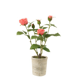 J-Line roos 5 koppen in pot plastiek/textiel /groen 20x20x39cm