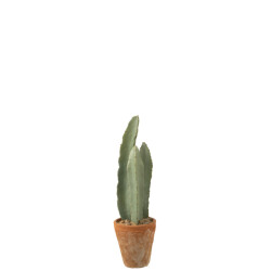 J-Line cactus 3 stuks in pot plastiek small 14x14x47cm