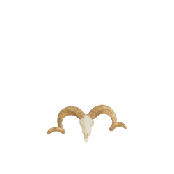 J-Line schedel schaap resine wit/goud small 32x11x16cm