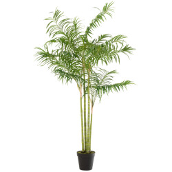 J-Line bamboepalm in pot plastiek /zwart large 120x120x175cm