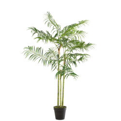 J-Line bamboepalm in pot plastiek /zwart small 110x110x170cm