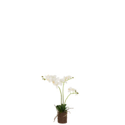 J-Line orchidee in aarde plastiek /groen medium 30x15x52cm