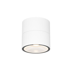 Maytoni Outdoor plafondlamp spin - Ø9
