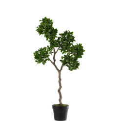 J-Line chinese vijg ficus boom in pot plastiek /zwart large 45x45x128cm