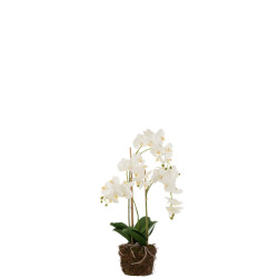 J-Line orchidee in aarde plastiek /groen large 32x32x75cm