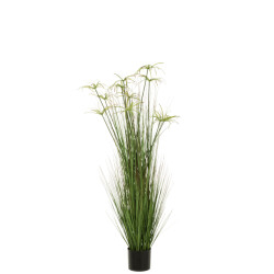 J-Line cyperus alternifolius 11 koppen in pot pvc large 43x43x140cm