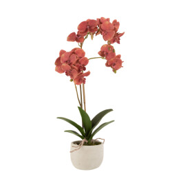 J-Line orchidee in pot plastiek/cement diep/beige 32x32x57cm