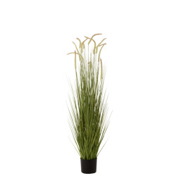 J-Line grassen+staarten in pot plastiek large 25x25x151cm