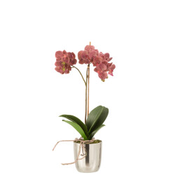 J-Line orchidee in pot plastiek/cement donker /zilver 23x23x50cm