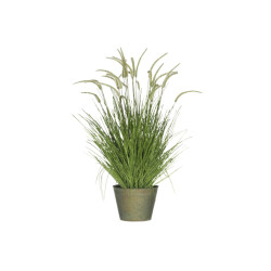 J-Line grassen+staarten in pot metaal plastiek large 60x60x114cm
