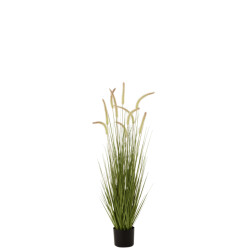 J-Line grassen+staarten in pot plastiek medium 35x35x120cm