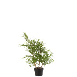 J-Line bergpalm in pot plastiek /zwart small 50x50x84cm