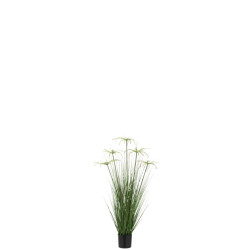 J-Line cyperus alternifolius 5 koppen in pot pvc small 32x32x100cm