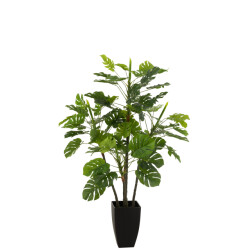 J-Line philodendron in pot plastiek large 73x73x117cm