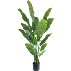 Greenmoods Kunstplant strelitzia nicolai 180 cm