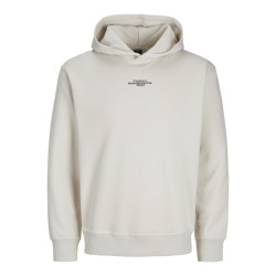 Jack & Jones Jcoalpha mountain print sweat hood