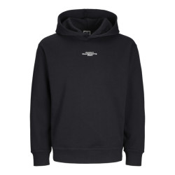 Jack & Jones Jcoalpha mountain print sweat hood