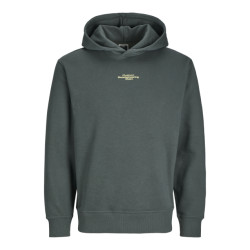 Jack & Jones Jcoalpha mountain print sweat hood