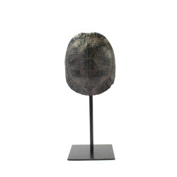 Furnilux katana small schildpad