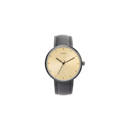 Karlsson watch finesse steel -