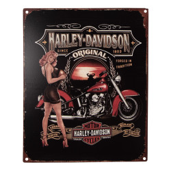 Clayre & Eef Tekstbord 20x25 cm rood ijzer vrouw met motor harley