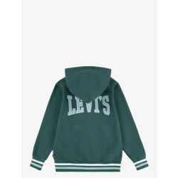 Levi's Vasity hoodie oud