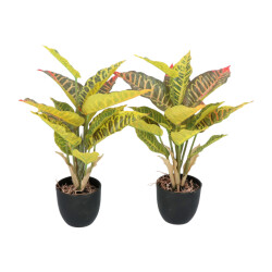 Kopu ® 2 stuks kunstplant croton 35 cm 14 bladeren in zwarte pot