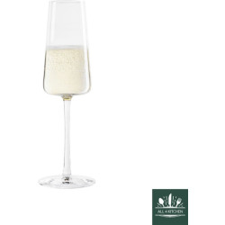 Stölzle Set/6 champagne flute 24 cl power