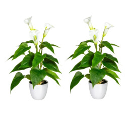 Kopu ® 2 stuks calla kunstplant 44 cm zantedeschia bekerplant