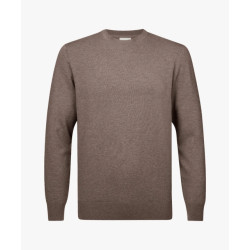 Profuomo pullover crew neck brown ppvj30037c 200 brown