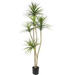 Hoyz Greenery kunstplant dracaena fragnans 180 cm