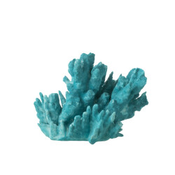 J-Line koraal polyresine azuur l 29x20x21cm
