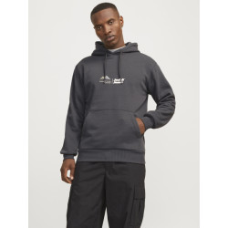 Jack & Jones Jcolima logo sweat hood bfln