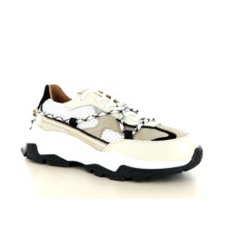 DWRS Label Bonney 2.01.036